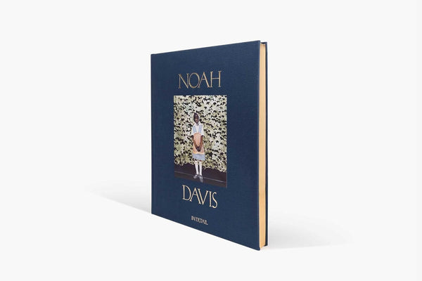 Noah Davis: In Detail