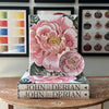 John Derian: The Picture Book Collection