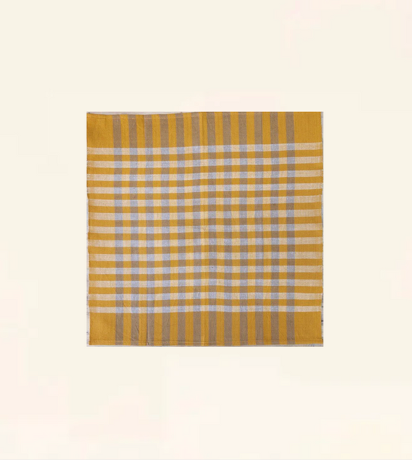 Pair of Plaid Cotton Napkins