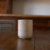 Travertine Canister