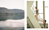 The Art of Kinfolk: An Iconic Lens on Life and Style