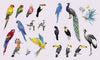Sticker Studio: Menagerie