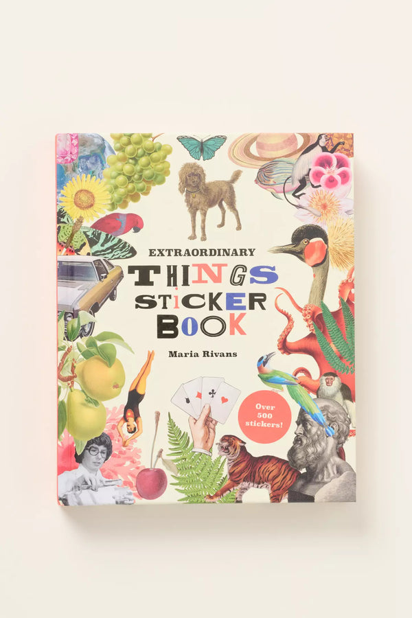 Extraordinary Things Sticker Book
