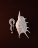 Sunset Earrings