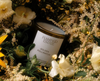 Golden Pollinator Candle