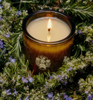 Sappho Fig Candle