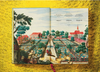 The Book of Citrus Fruits