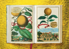 The Book of Citrus Fruits