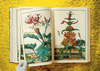 The Book of Citrus Fruits