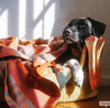 The Pet Throw
