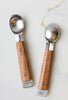 Ice Cream Scoop