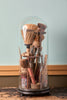 Old Brushes Under Cloche