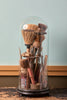 Old Brushes Under Cloche