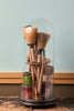 Old Brushes Under Cloche
