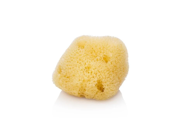 Facial Silk Sponge