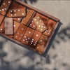 Leather Domino Set