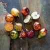 Fruit Glass Ornament